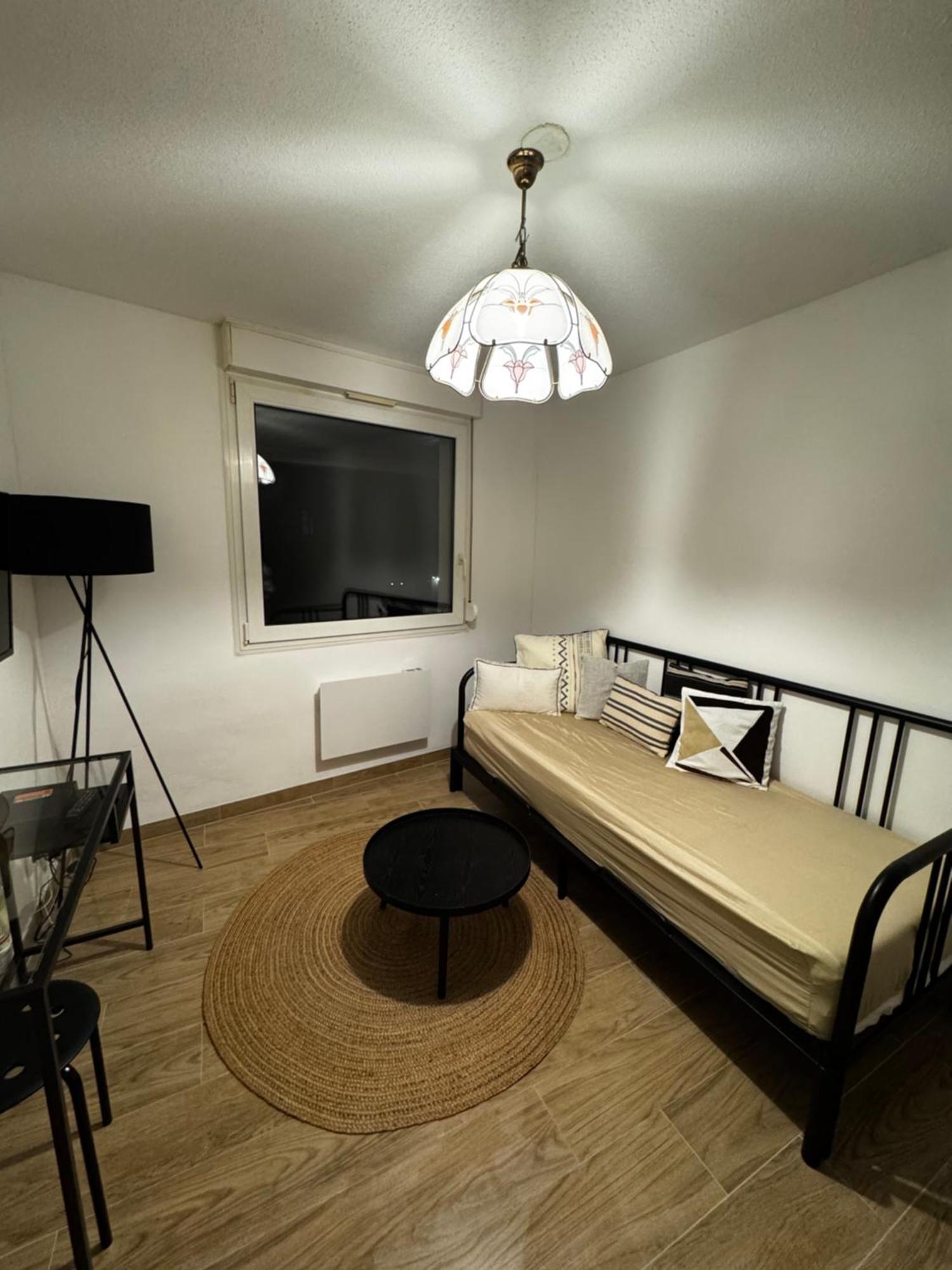 Le Sarsour Appartement Strasbourg Centre Екстер'єр фото
